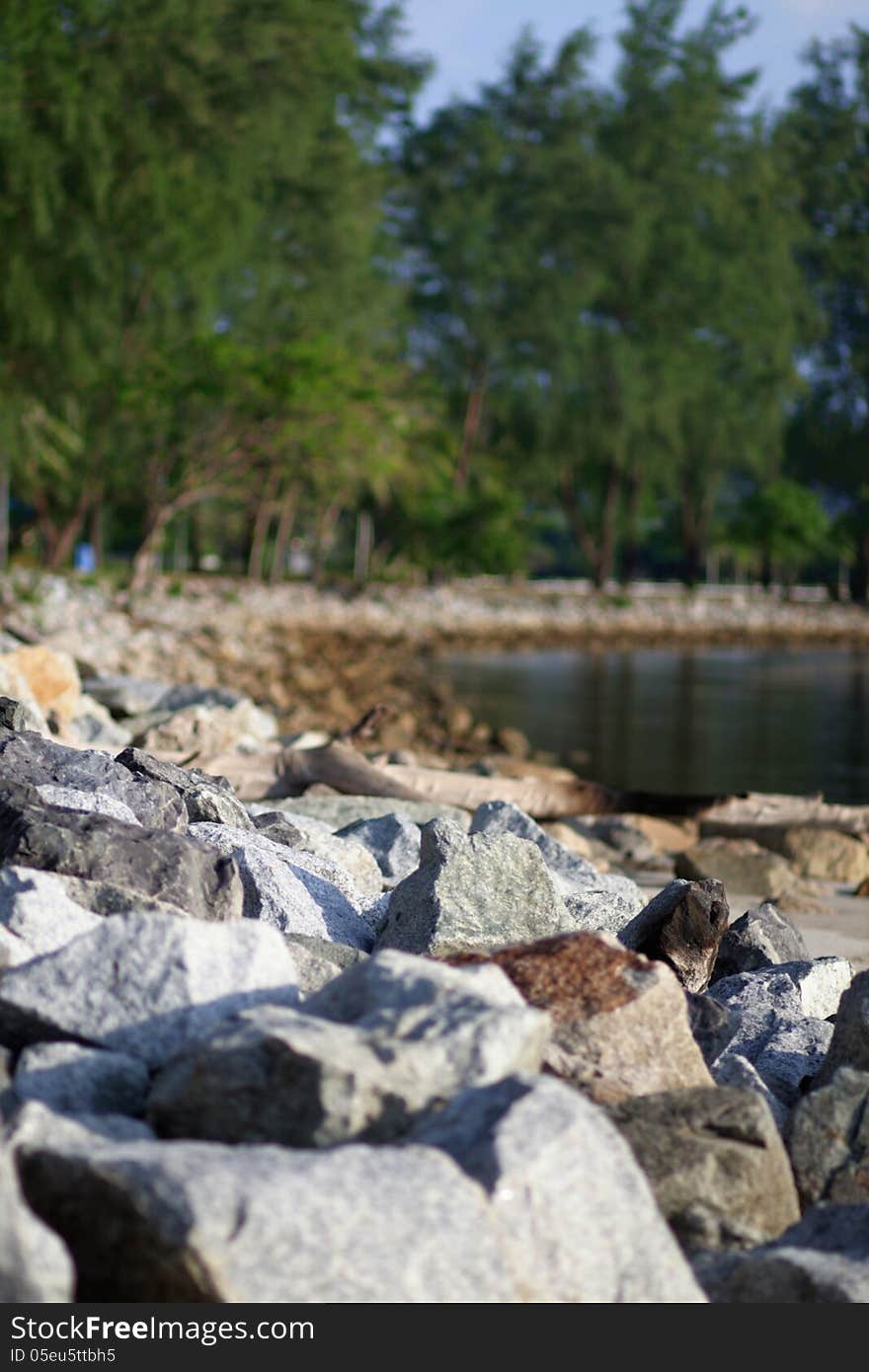 Rocks and trees