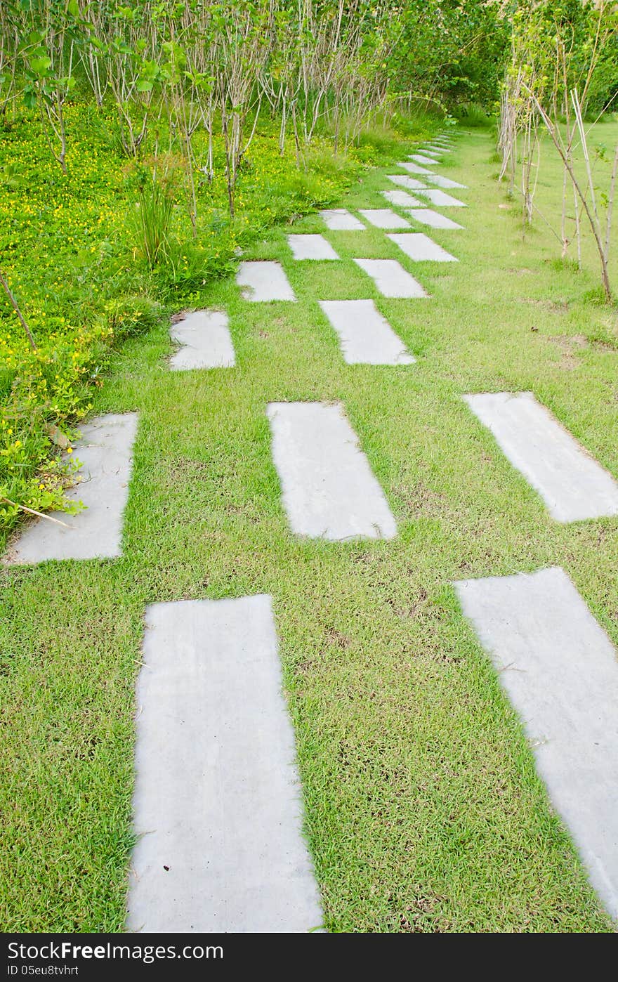 Walk path in the park with green grass background. Walk path in the park with green grass background