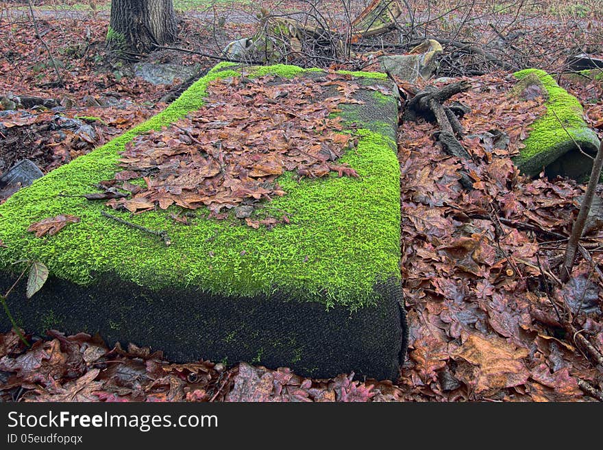 Abandoned Mattress