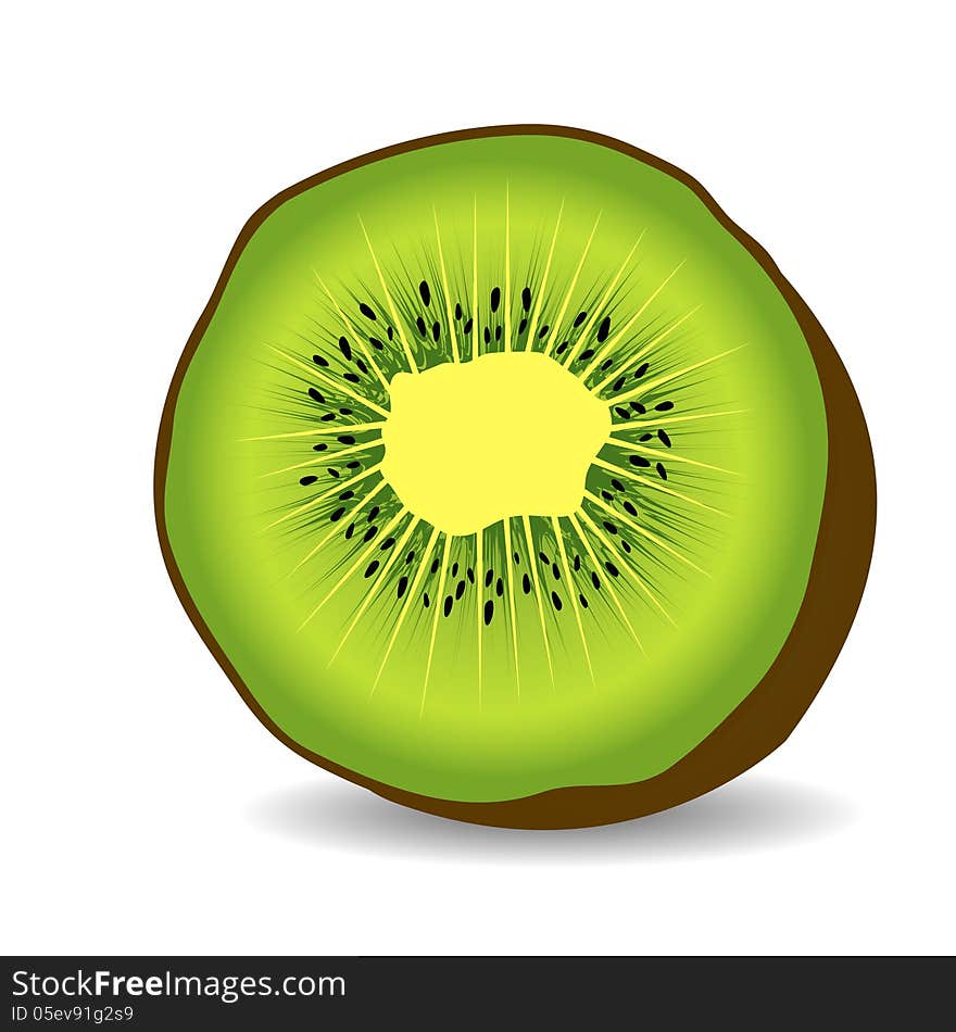 Kiwi Fruit  Illustration