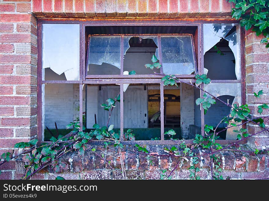 Abandoned windows