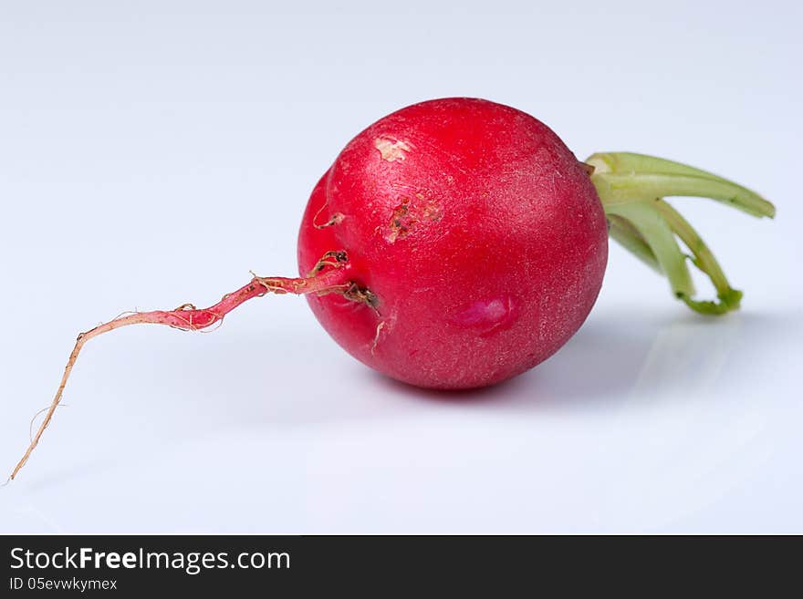 Red rudish on white background. Red rudish on white background