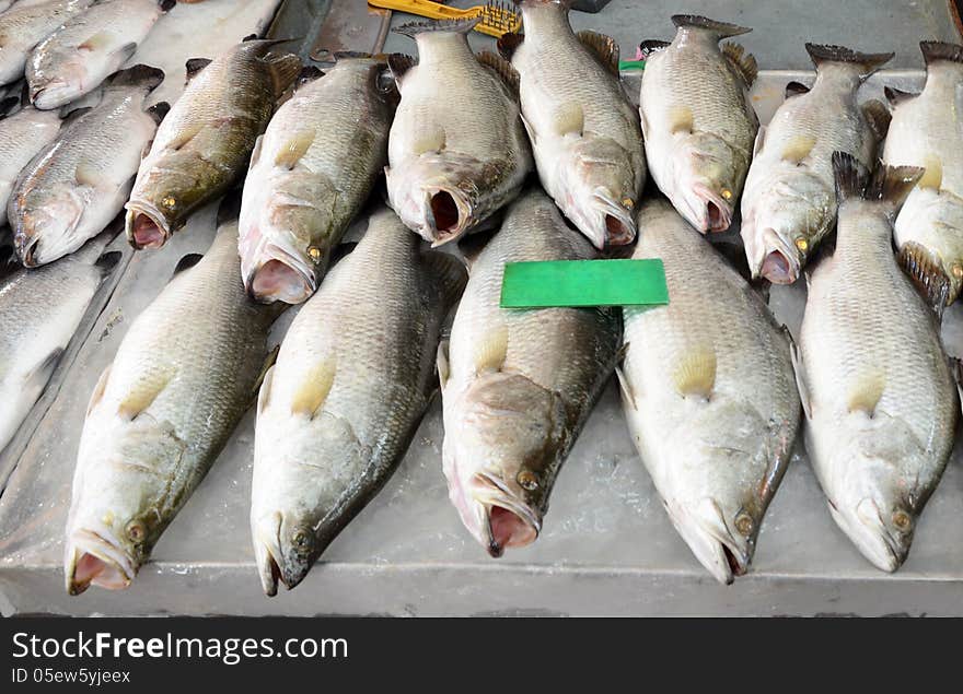 Variety of fresh fish seafood in market, thailand