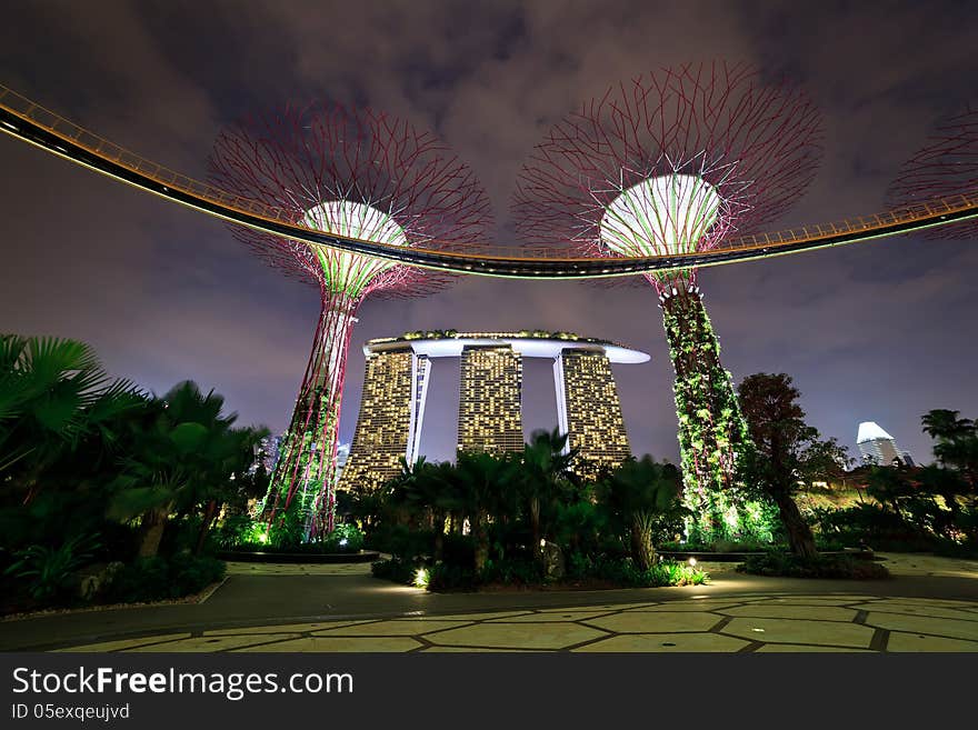 Gardens by the bay - Singapore