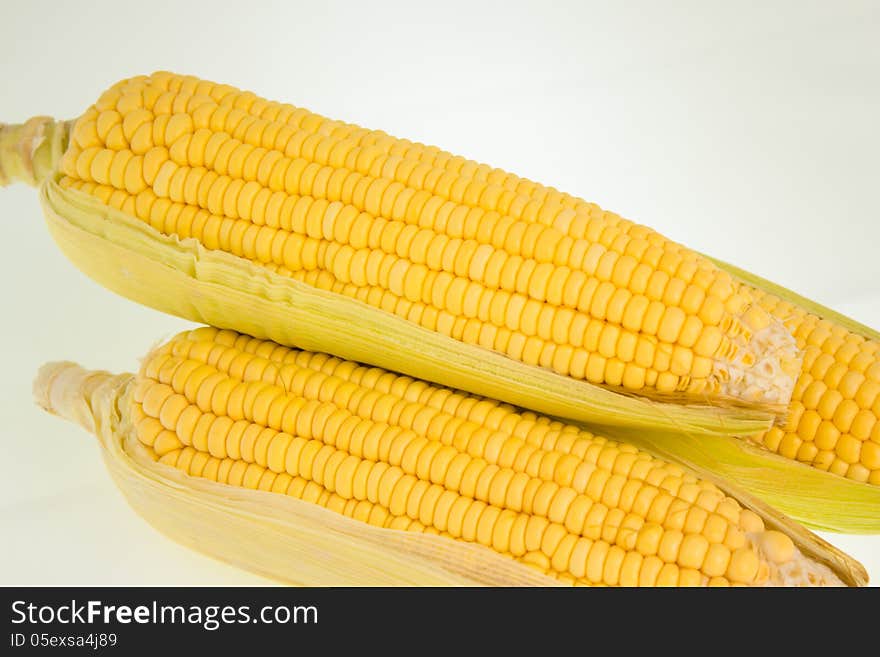 Fresh corn fruits with green leaves