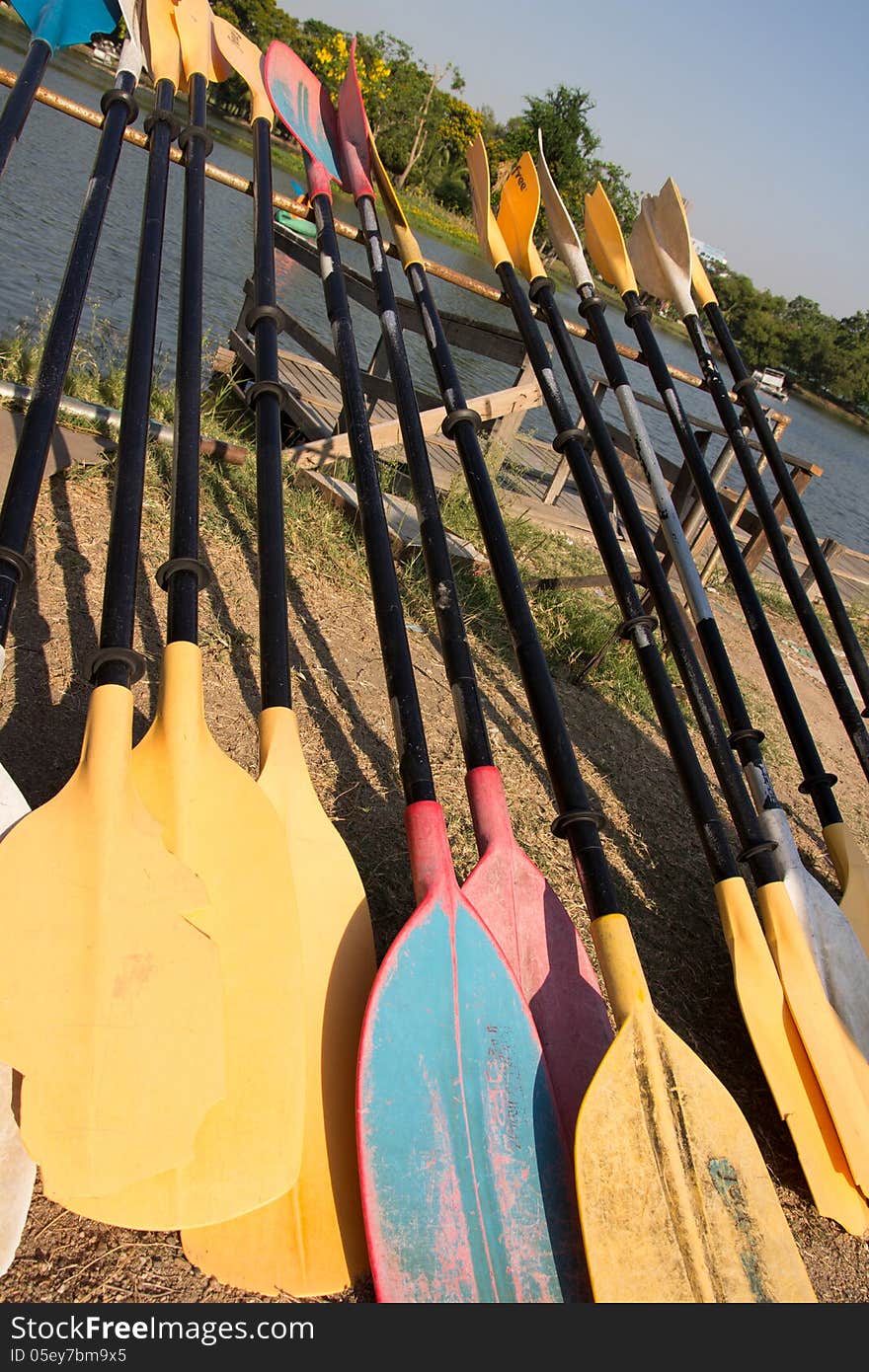 Colourful oars