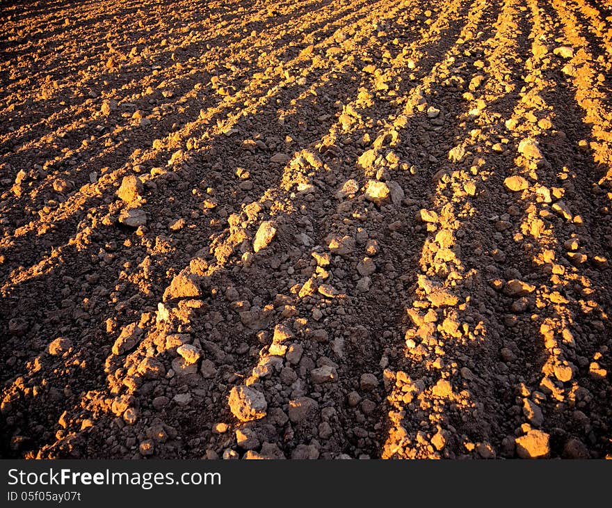 Plow Land Ready For Cultivation