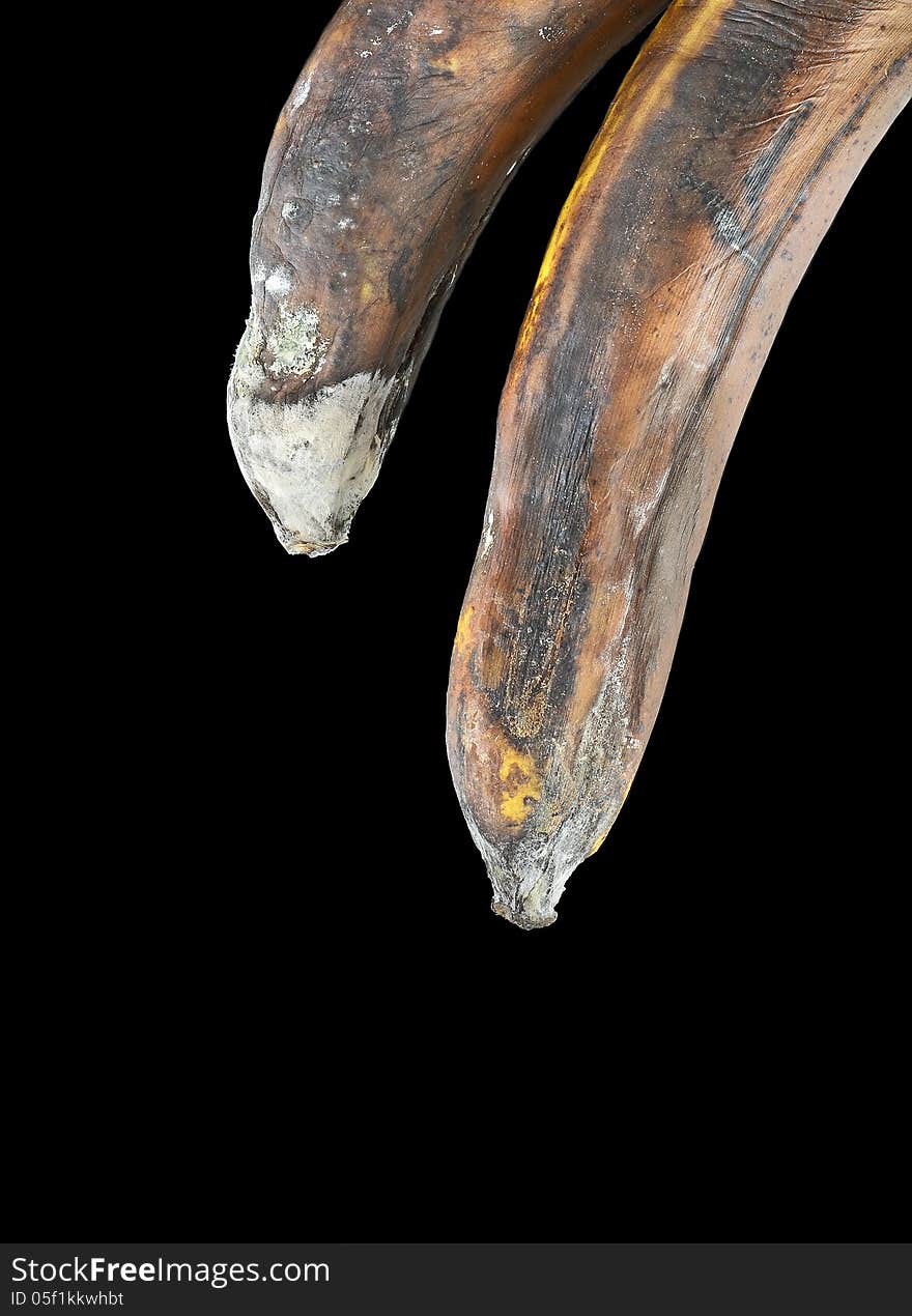 Moldy bananas on black background