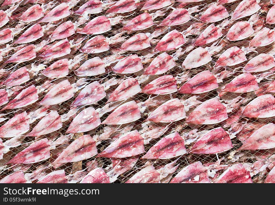 Squids placed in the strong sunshine to dry on net in seafood market Thailand. Squids placed in the strong sunshine to dry on net in seafood market Thailand