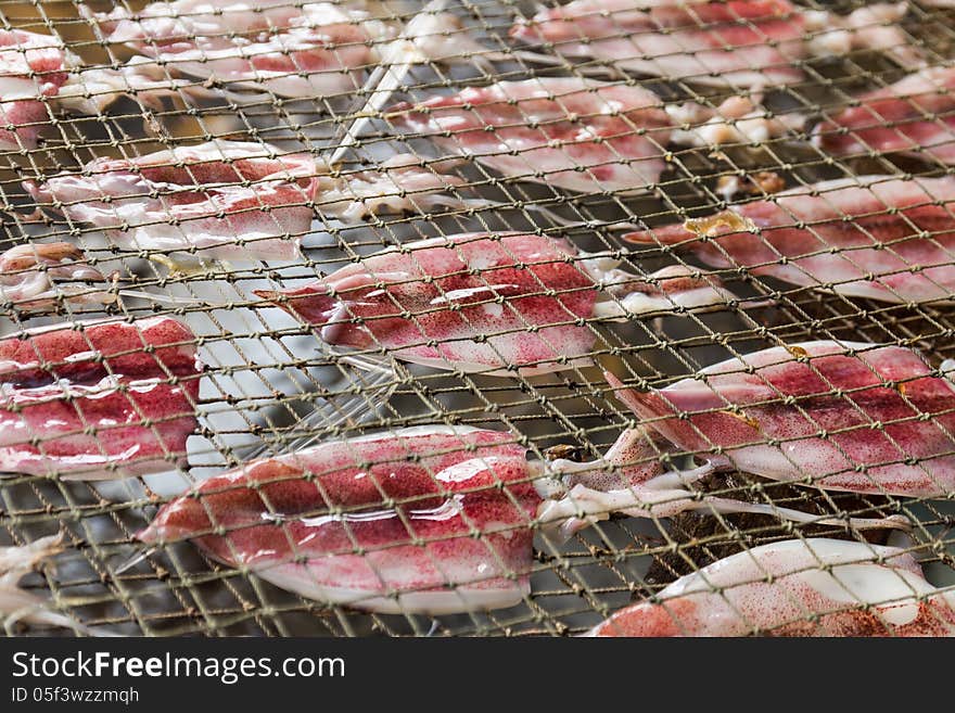 Squids placed in the strong sunshine to dry on net in seafood market Thailand. Squids placed in the strong sunshine to dry on net in seafood market Thailand