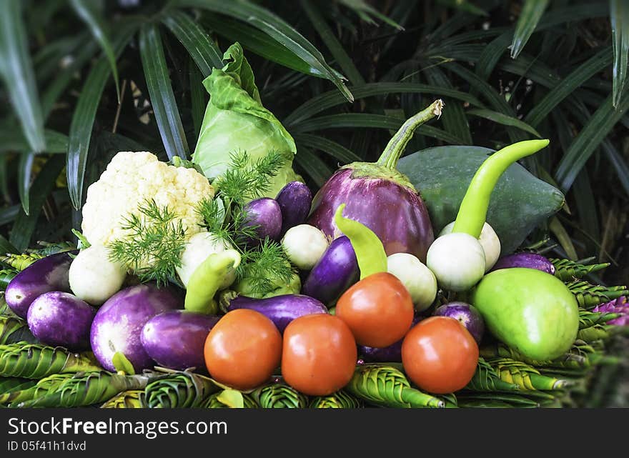 Beautiful vegetables with green background