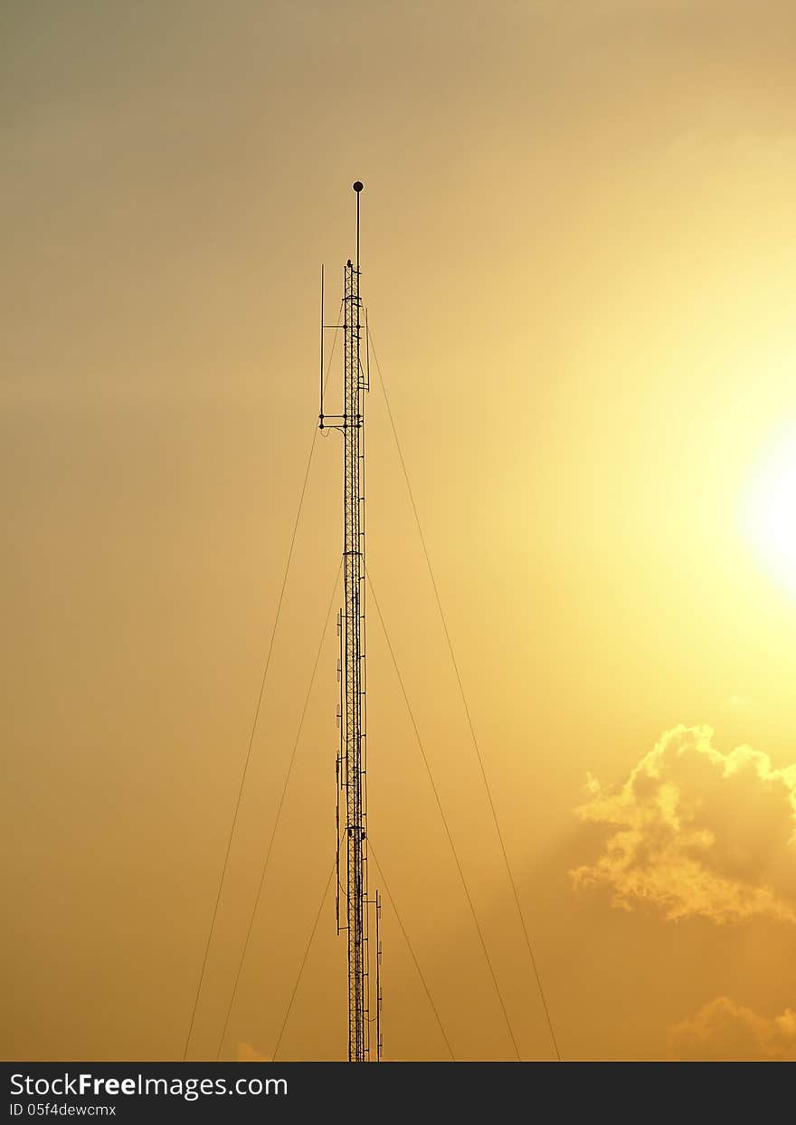 Antenna in orange