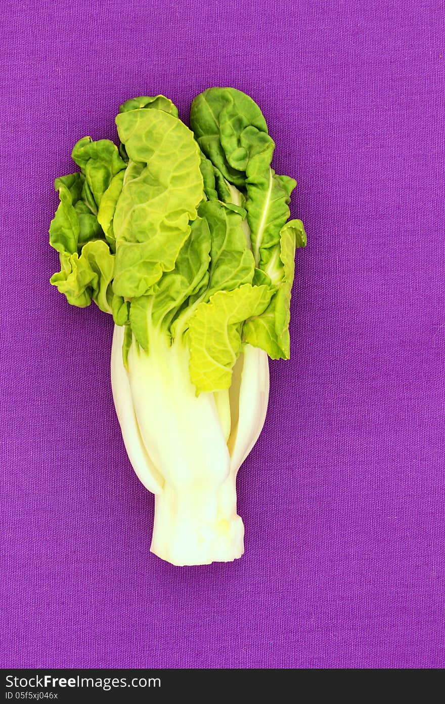 Fresh baby bok choy on purple background