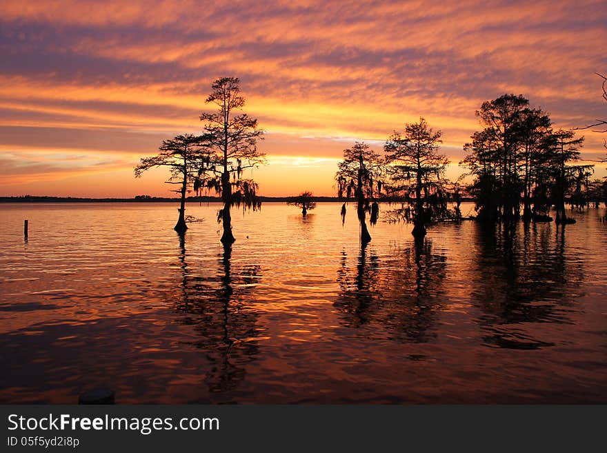 Sunset sky with blue tint reflections in river and silhouettes of trees in foreground.