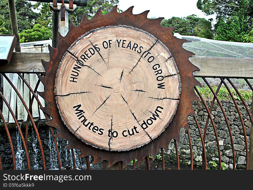 Disc of wood from tree trunk displayed on a circular saw blade indicating that it takes hundreds of years to grow and only minutes to cut down. Disc of wood from tree trunk displayed on a circular saw blade indicating that it takes hundreds of years to grow and only minutes to cut down