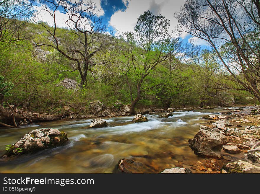 Mountain stream and waterfalls in the forest in spring