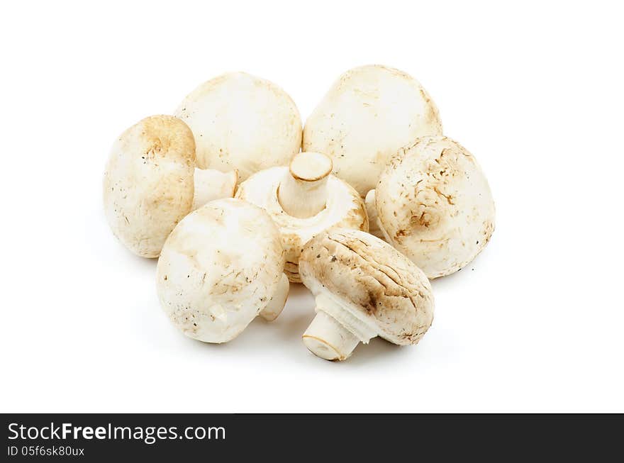 Heap of Perfect Big Raw Field Mushrooms isolated on white background