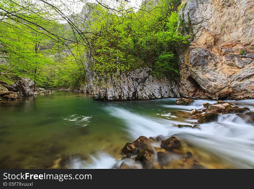 Mountain stream and waterfalls in the forest in spring