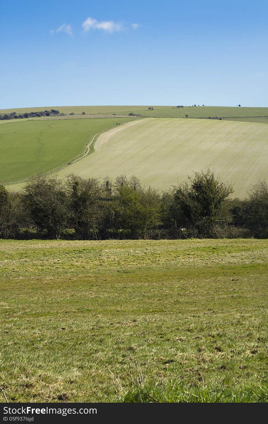 Open land on the Sussex South Downs on sunny day. Open land on the Sussex South Downs on sunny day