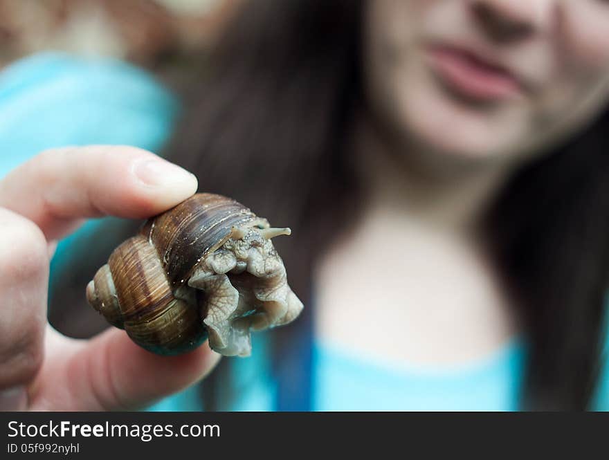 Woman s hand holding a large snail