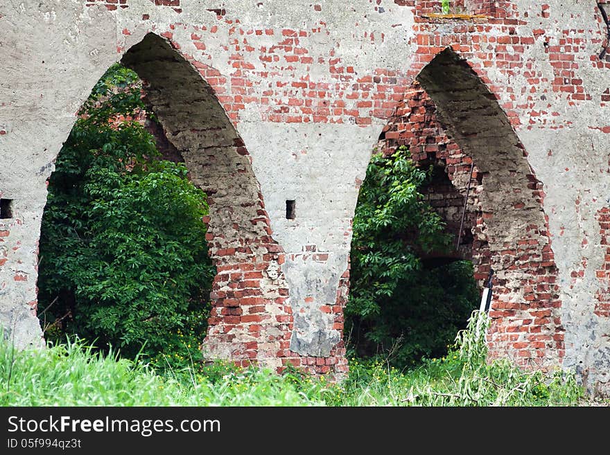 Old abandoned brick wall outdoor in the forest