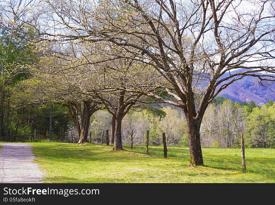 Open Fields Of Cades Cove In Spring.