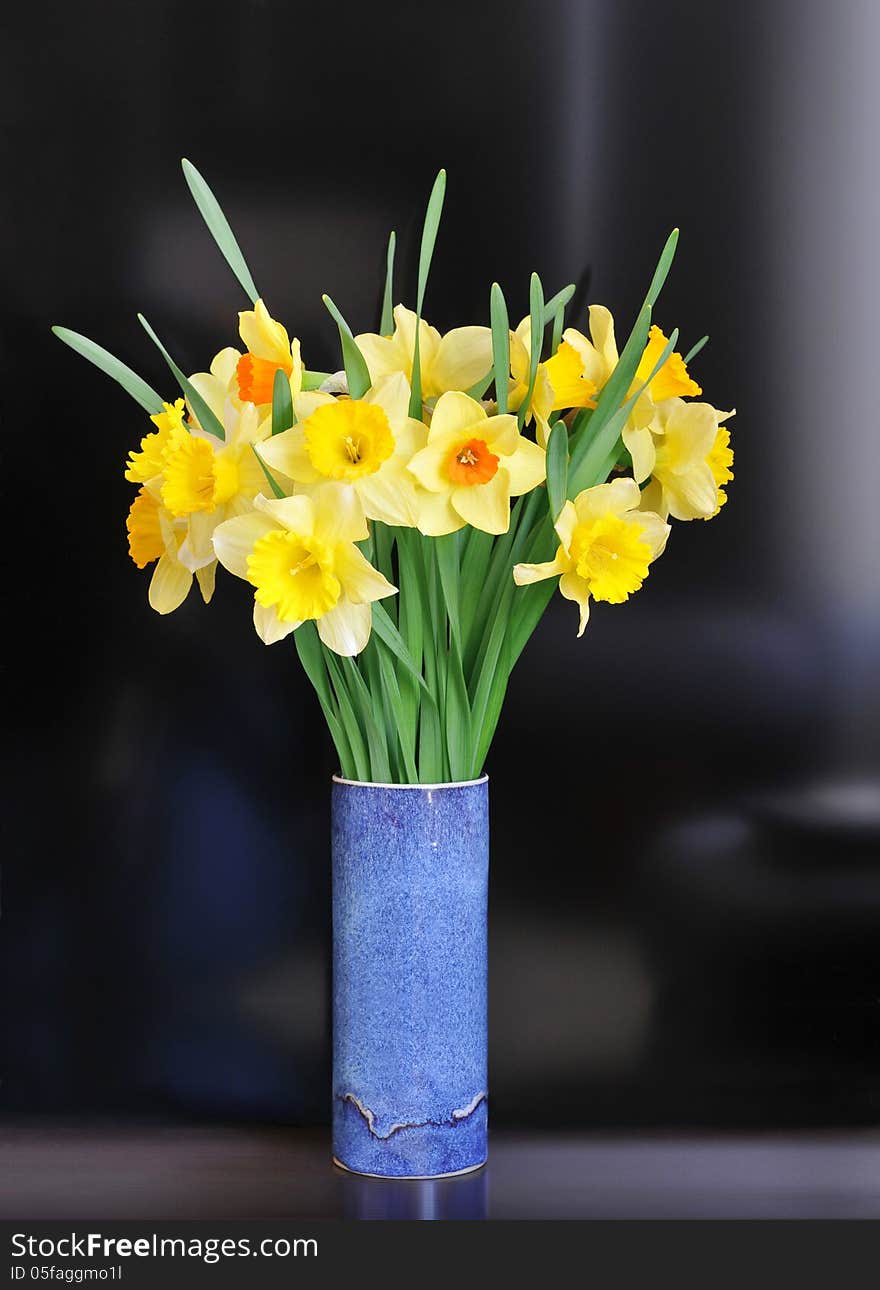 Arrangement of daffodils in blue vase. Arrangement of daffodils in blue vase.