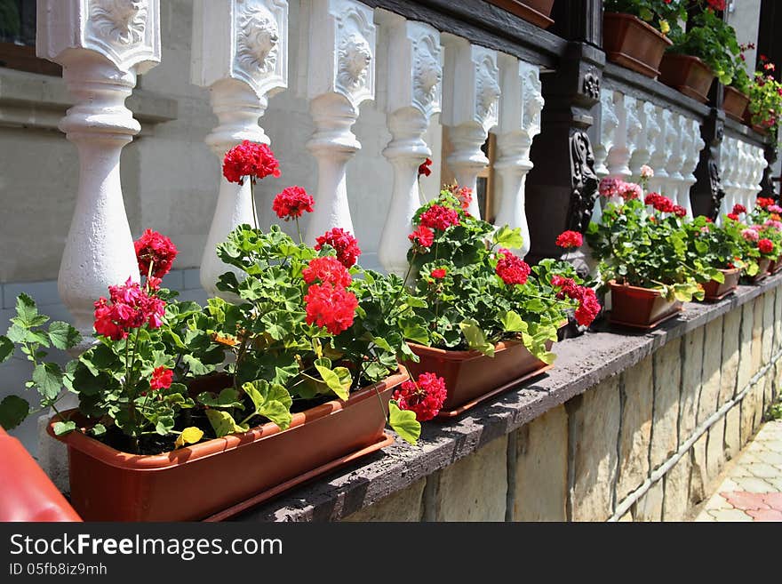 Flower decorated terrace of a house at Moldova