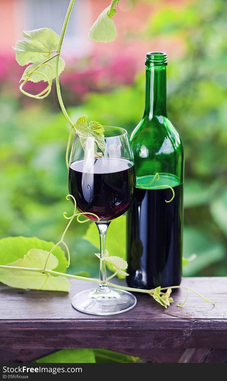 Bottle and glass with red wine in vineyard.