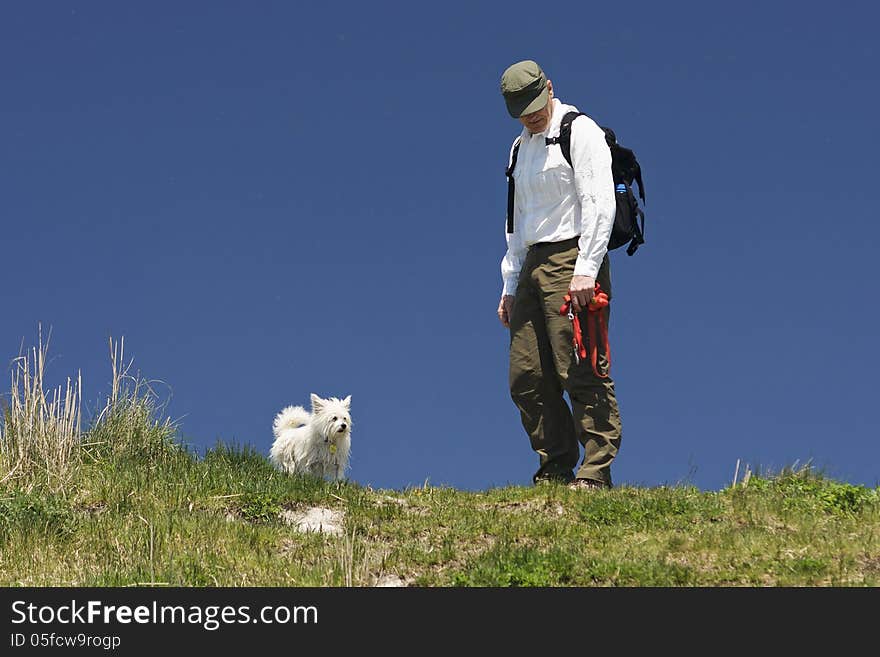 A little white dog out for a walk with a dog walker in early spring. Clear blue skies are filled with an occlusion of springtime insects requiring protective clothing. A little white dog out for a walk with a dog walker in early spring. Clear blue skies are filled with an occlusion of springtime insects requiring protective clothing.