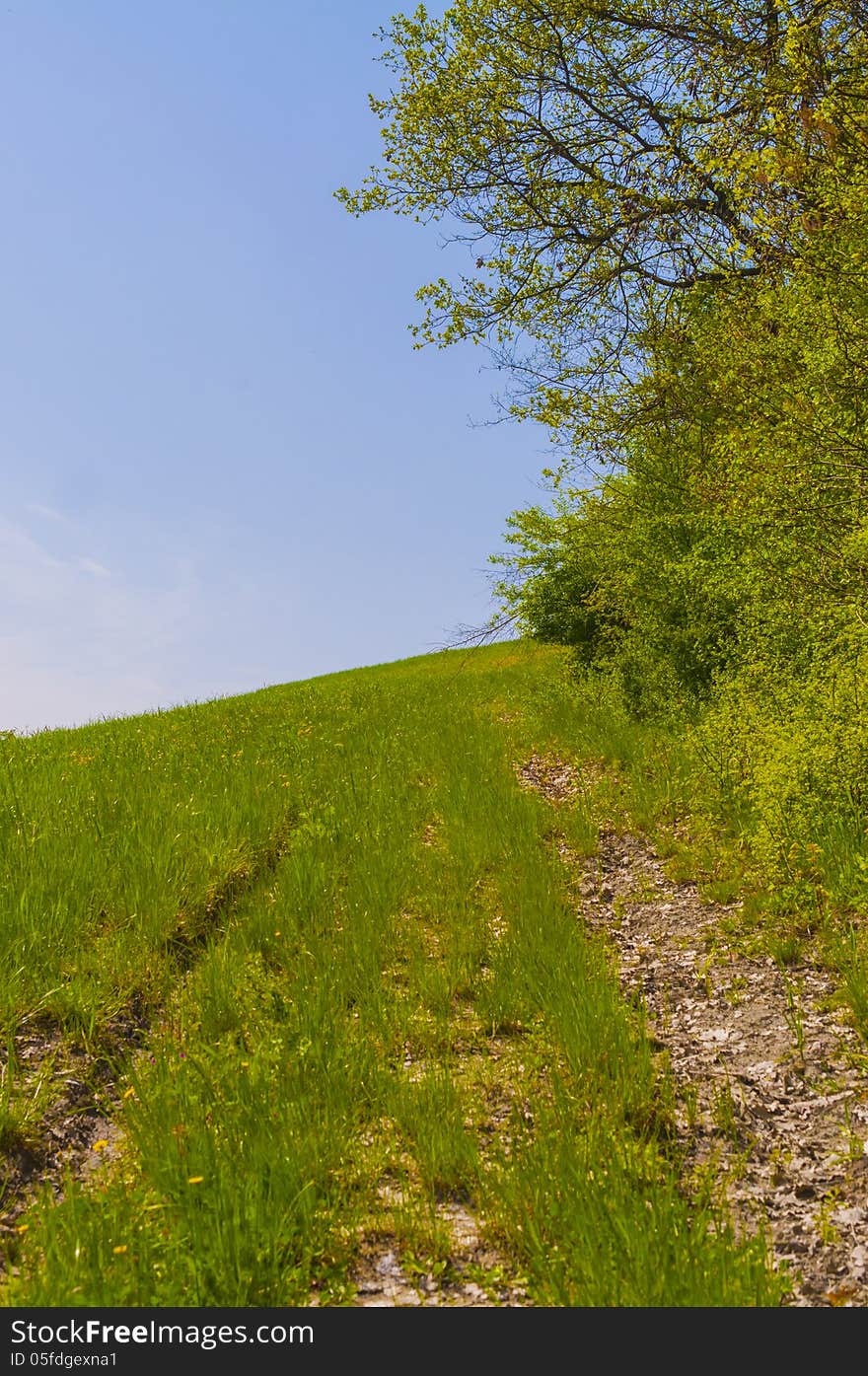 Country landscape