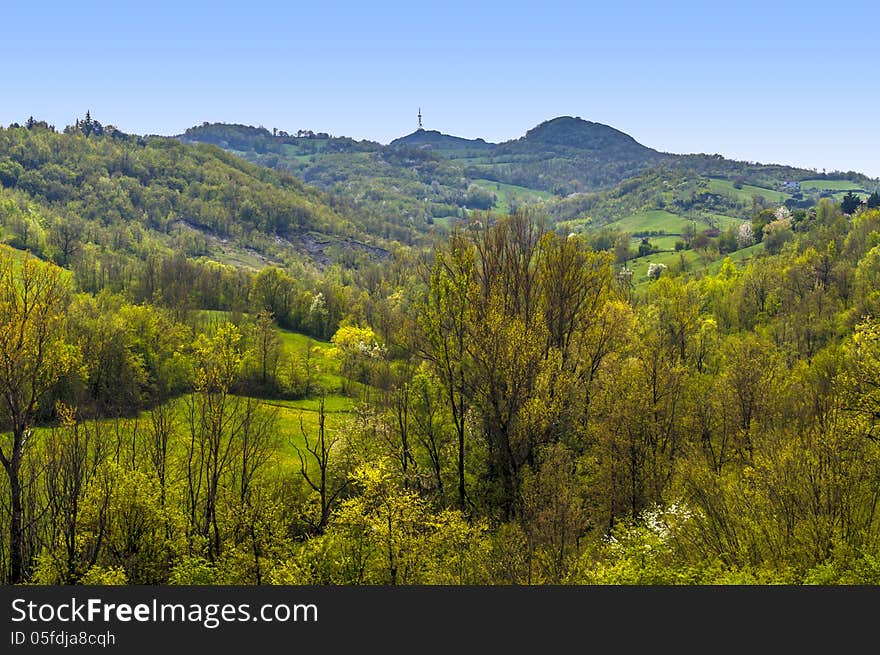 Country landscape