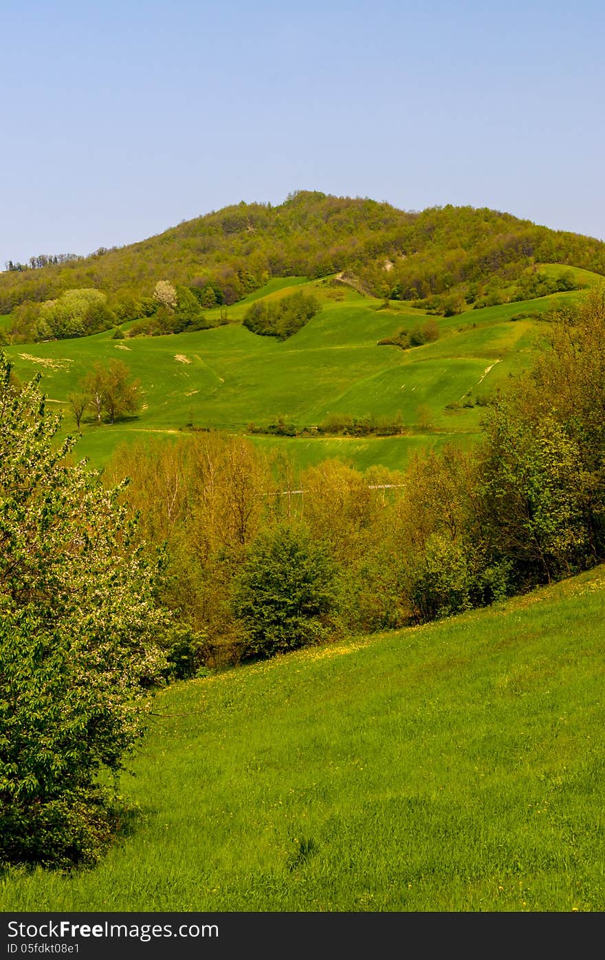 Country landscape