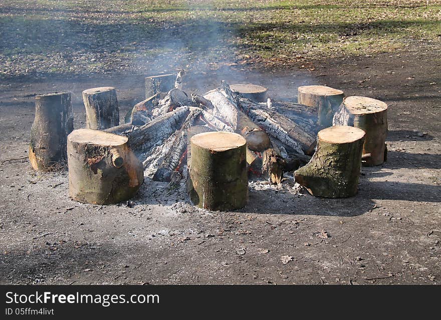 Wood Log Fire.