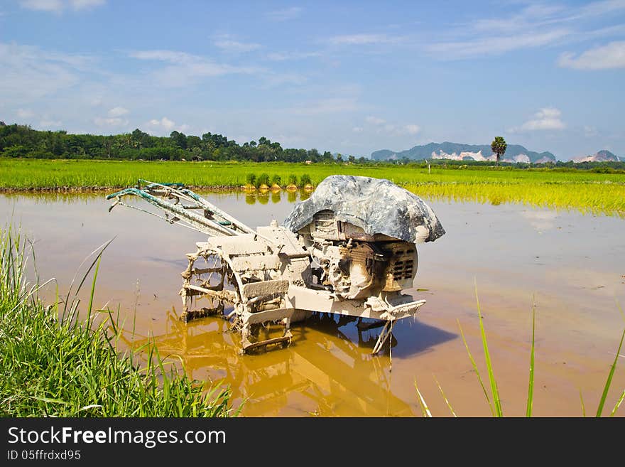 Vintage plows used to plow the field in farm rice. Vintage plows used to plow the field in farm rice.