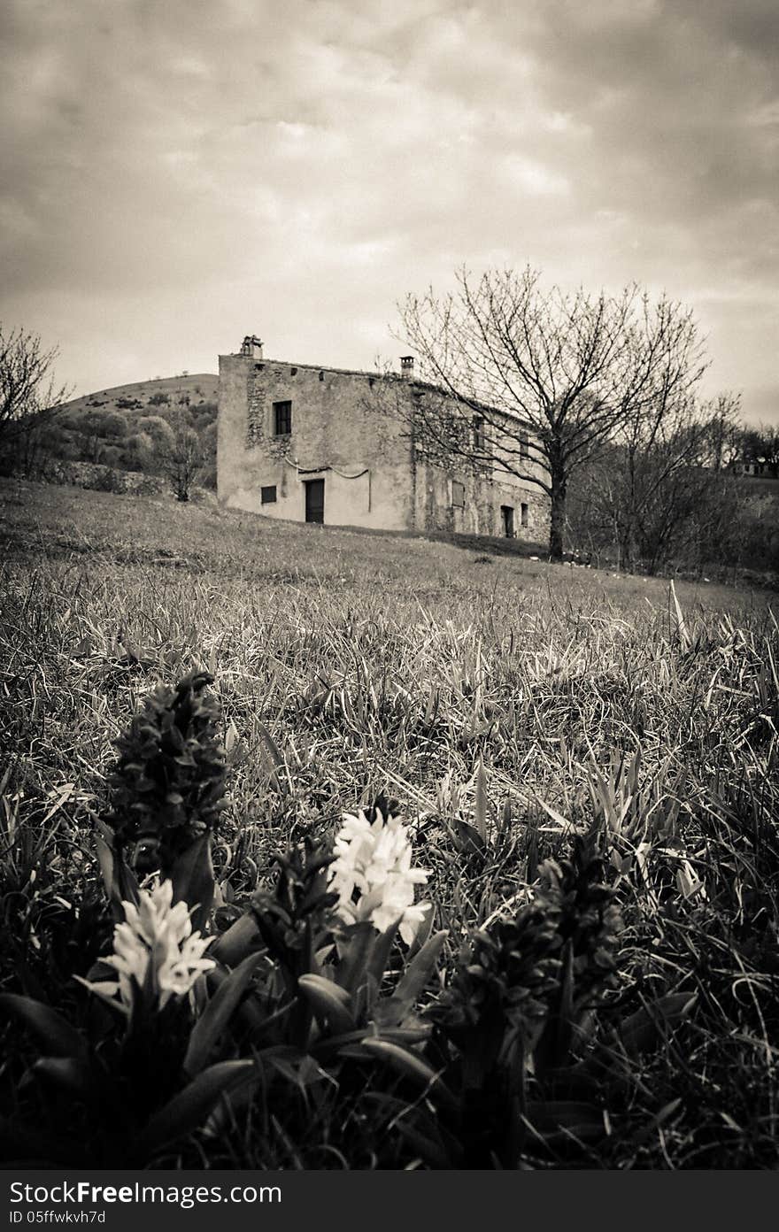 Abandoned haunted house