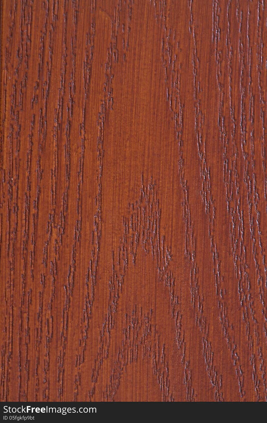 Wood Texture. Top view closeup