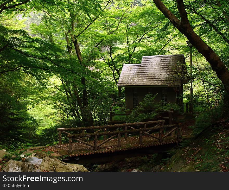 Small House In The Woods