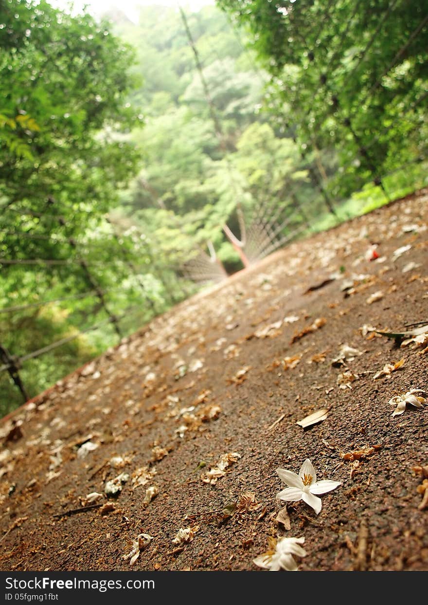 Red bridge in the mountains in Japan. Red bridge in the mountains in Japan