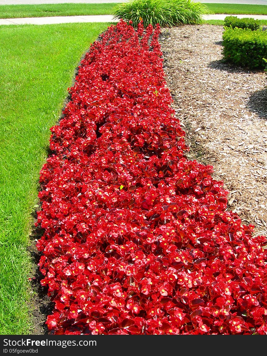 Landscape with red flower beds in spring