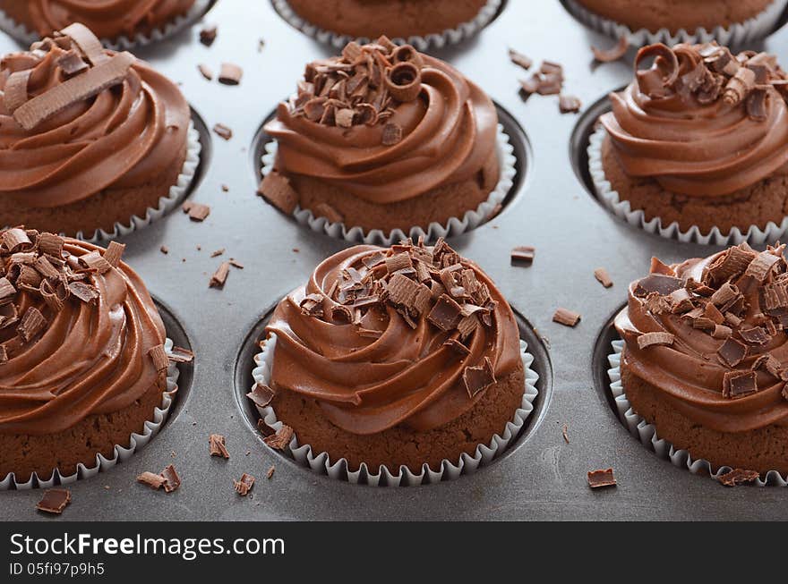 Fresh baked Chocolate cupcakes with swirled chocolate frosting and shaved chocolate. Fresh baked Chocolate cupcakes with swirled chocolate frosting and shaved chocolate.