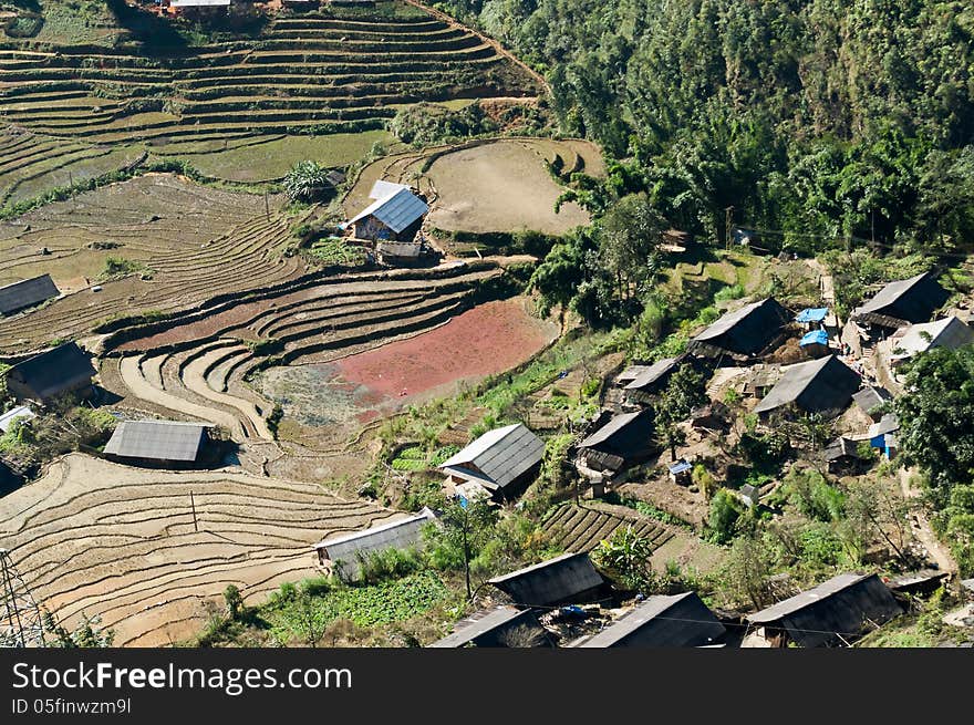 Village and Rice Paddy fields. Sapa. Vietnam