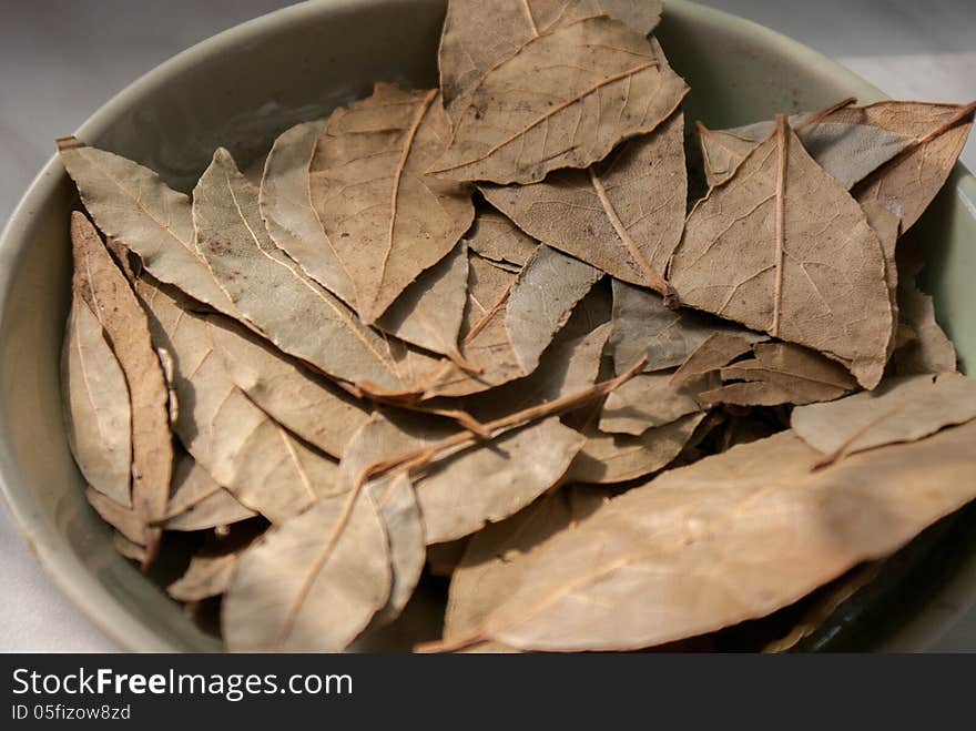 Dry Bay Leaves on Grey Plate