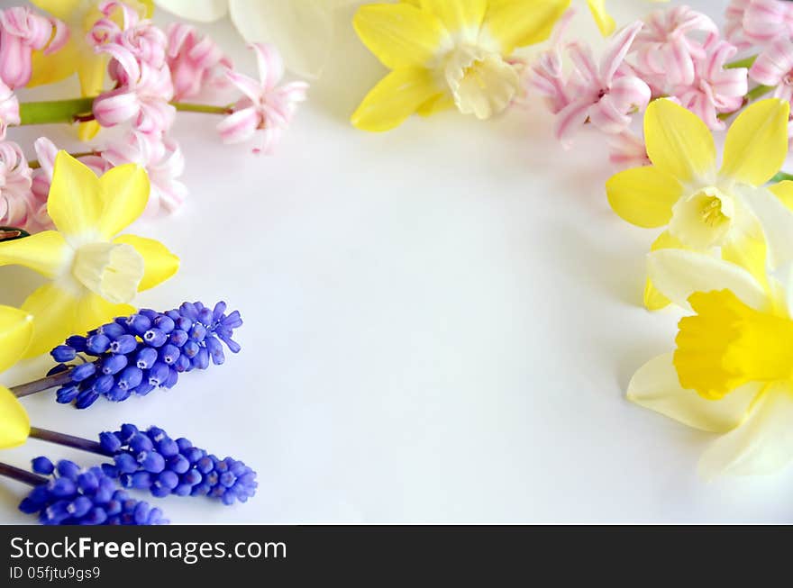 Frame of spring flowers on white background