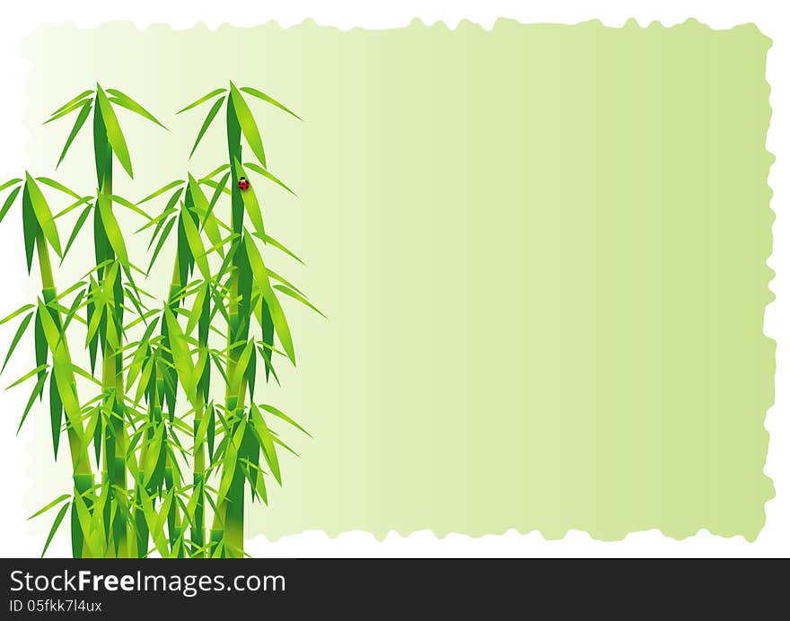 Bamboo decorative element vector background