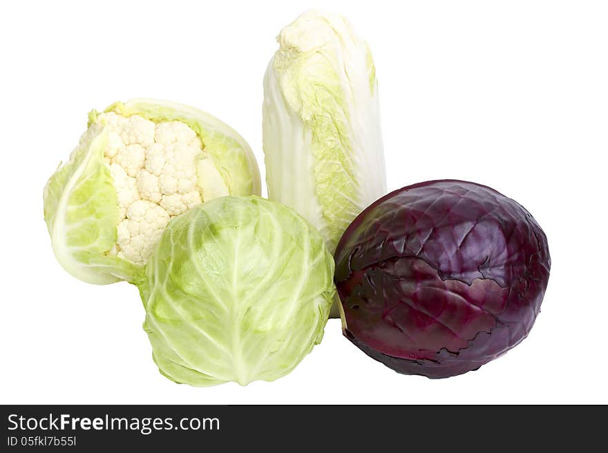 Four kinds of cabbage isolated on white background