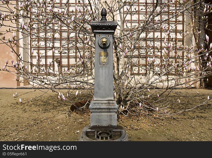 Fountain of metal from the trees in bloom