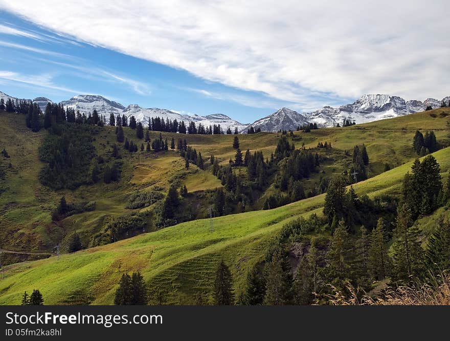 Beautiful landscape with alpine meadows