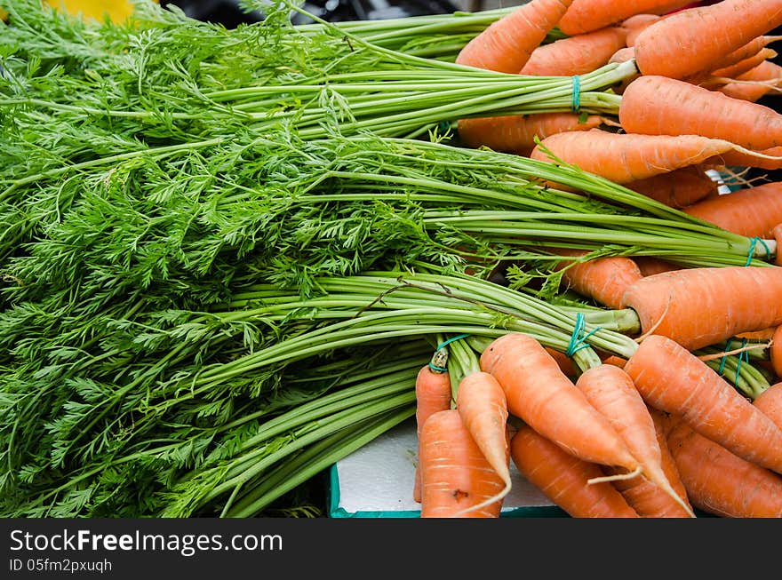 Fresh carrot in a market