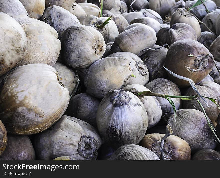 Many coconut prepared for cooking